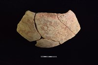 藏品(陶片)的圖片